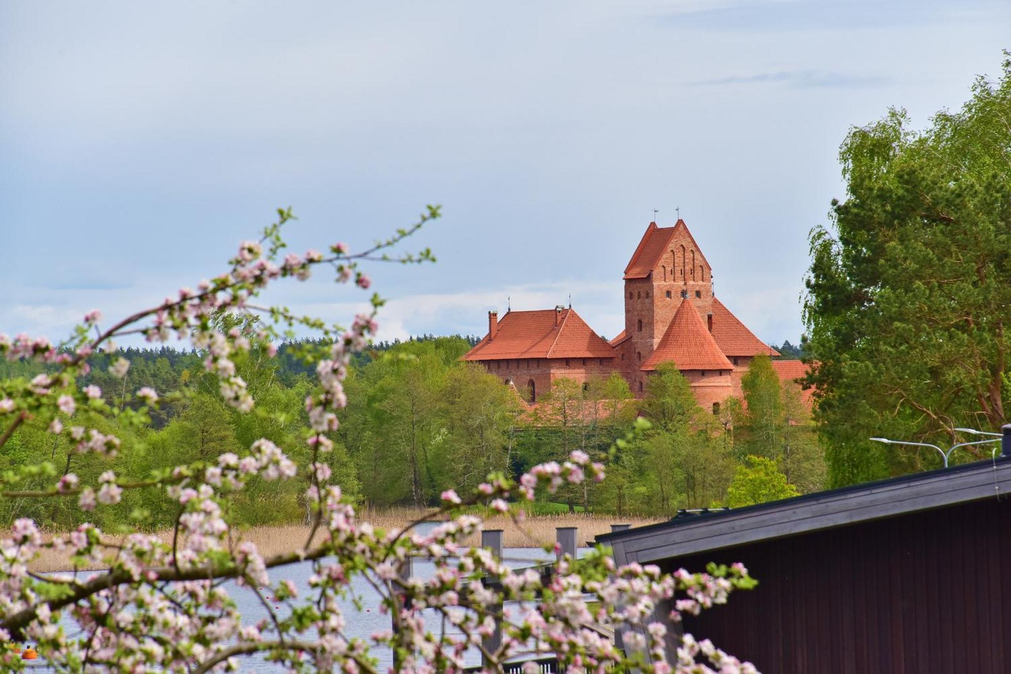Augutes Zurlienes Apartamentai Trakai Extérieur photo